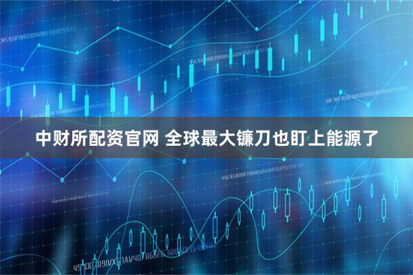 中财所配资官网 全球最大镰刀也盯上能源了